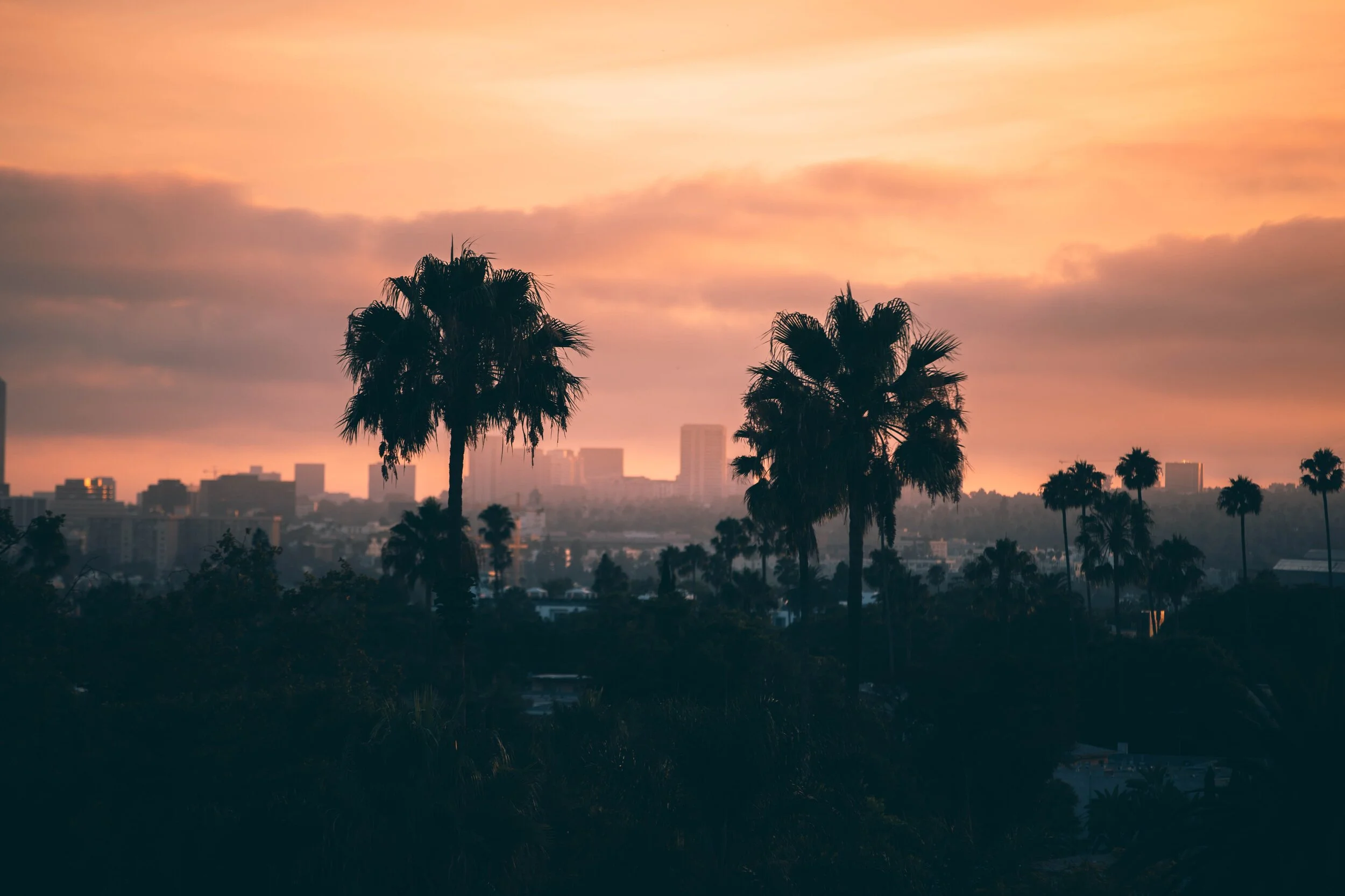 Photo by   Roberto Nickson   from   Pexels