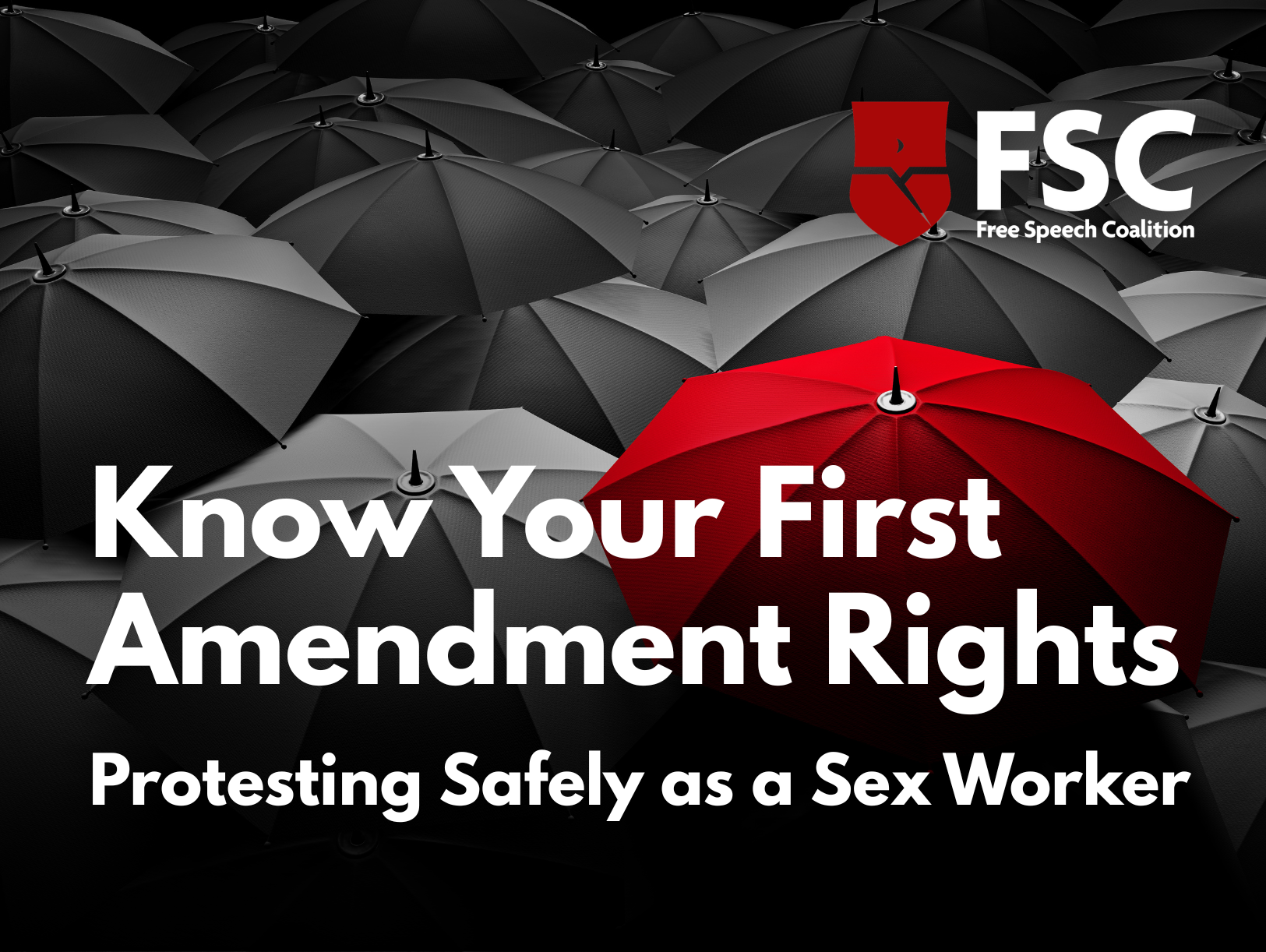 Know Your Rights This May Day: A New Resource on Your First Amendment Right to Protest