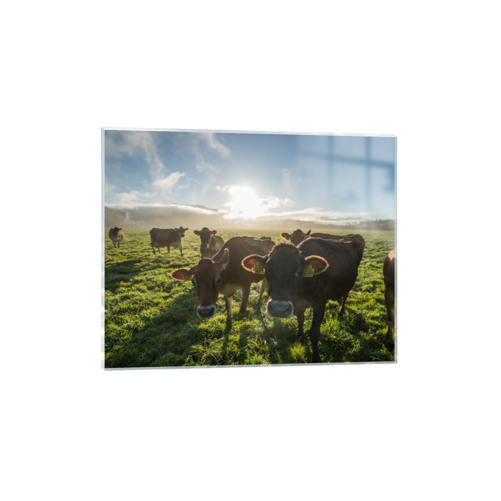 acrylicprint_rectangle4_5_322_0_3226_2581_0.png