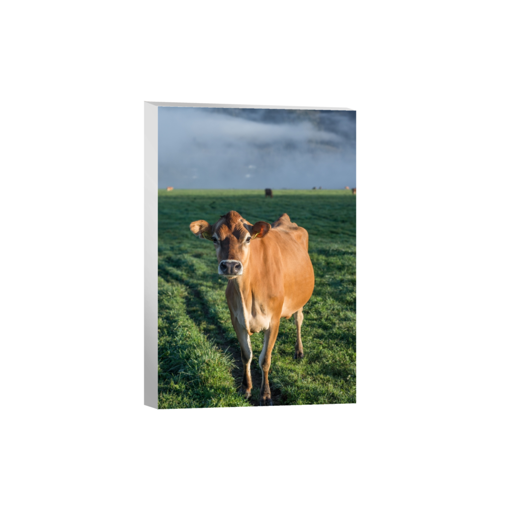 canvas_rectangle2_3_0_0_2581_3871_0.png