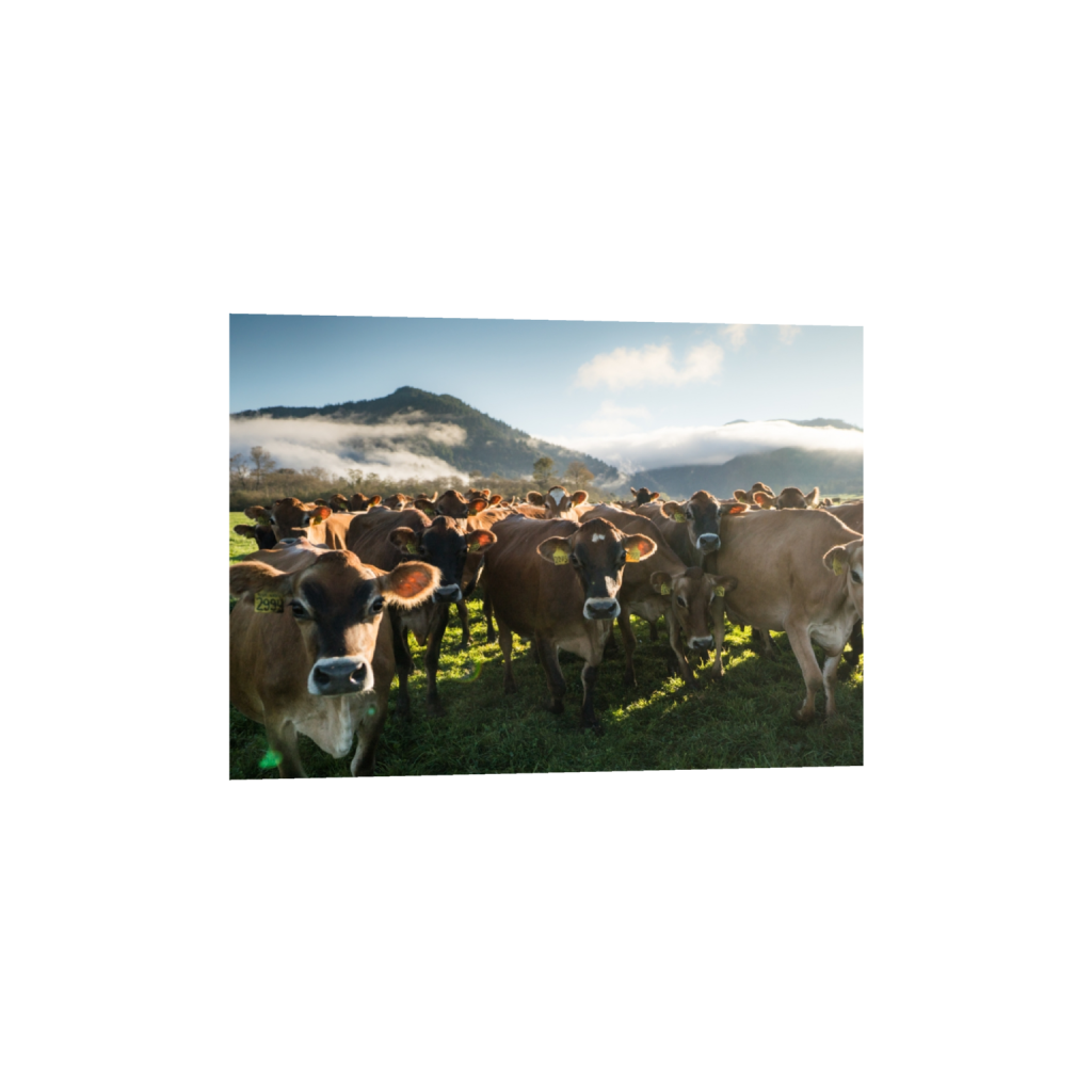 fineartprints_rectangle5_7_0_0_3320_2372_0.png