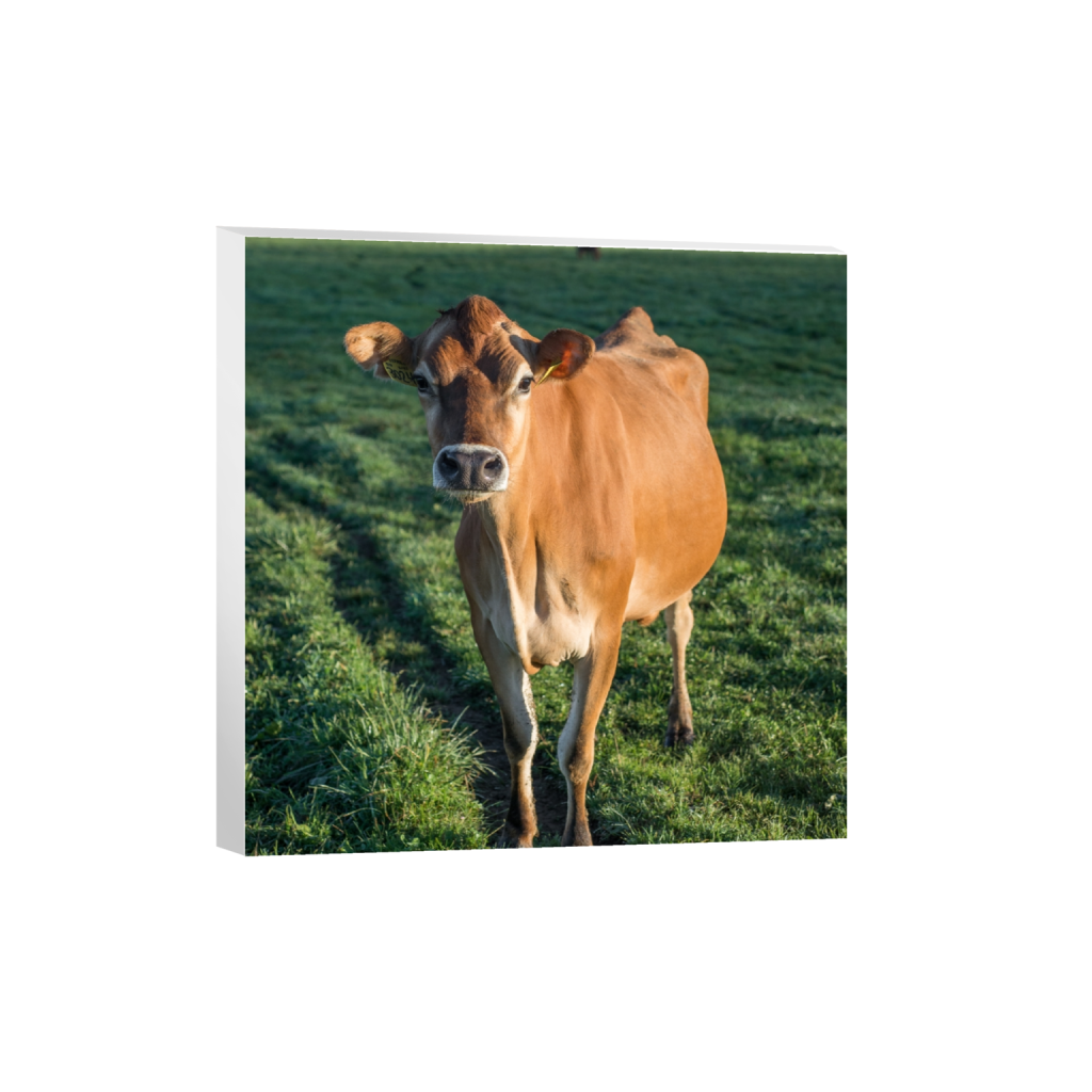 canvas_square_0_1109_2581_2581_0.png