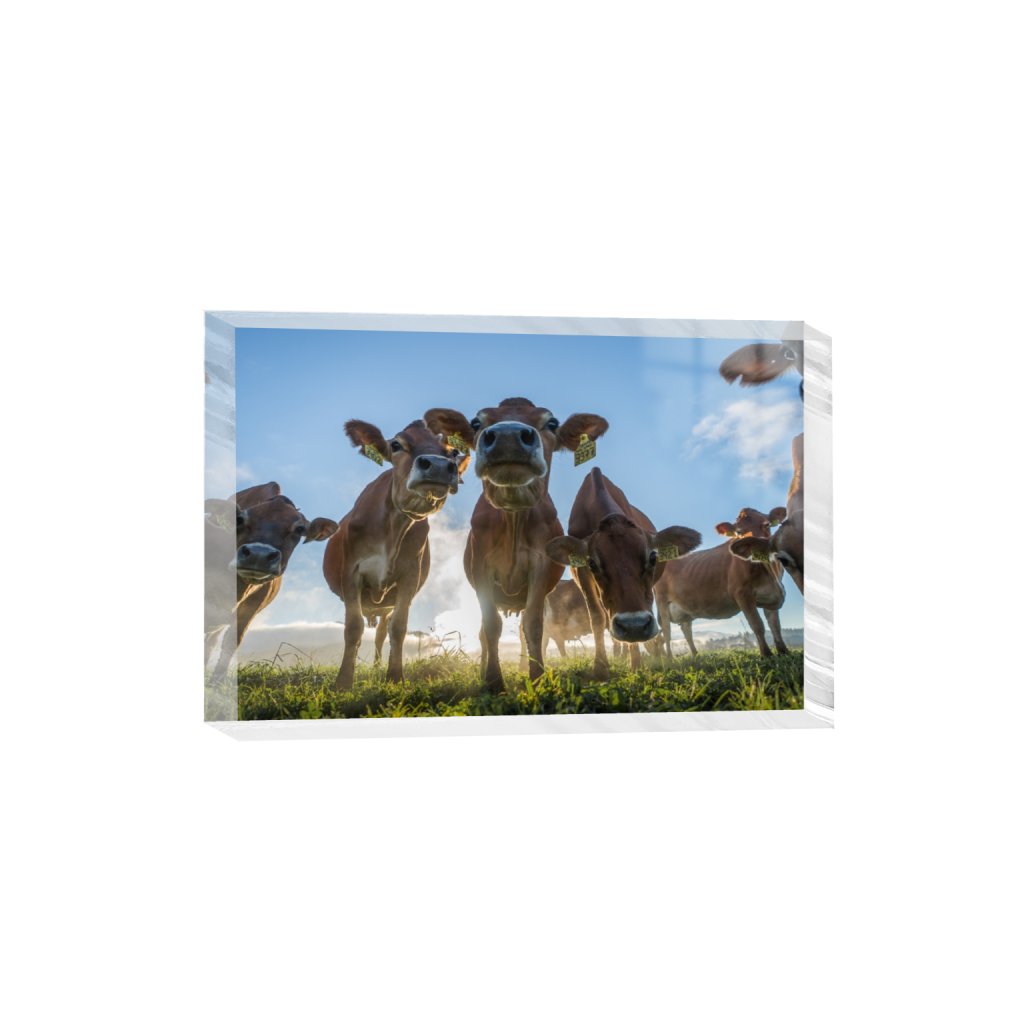 acrylicdesktopprint_rectangle2_3_328_0_3558_2372_0.png