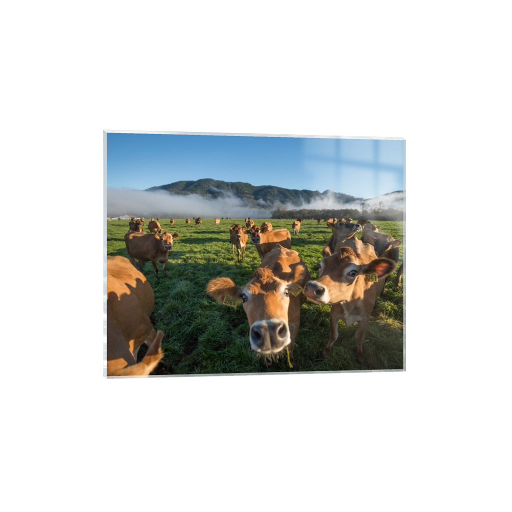 acrylicprint_rectangle4_5_322_0_3226_2581_0.png