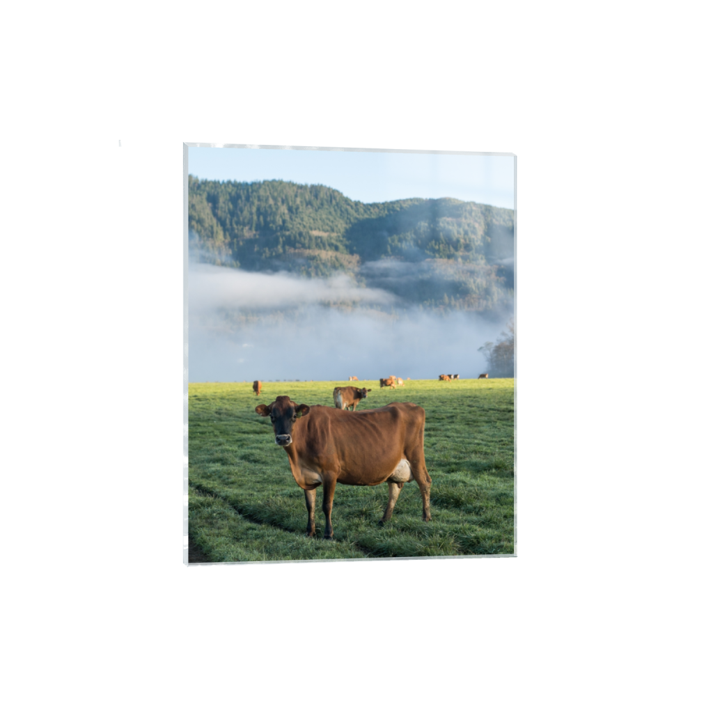 acrylicprint_rectangle4_5_0_484_2581_3226_0.png