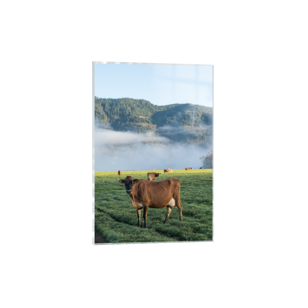 acrylicprint_rectangle2_3_0_0_2581_3871_0.png