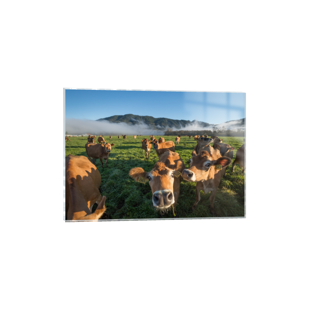 acrylicprint_rectangle5_7_129_0_3613_2581_0.png