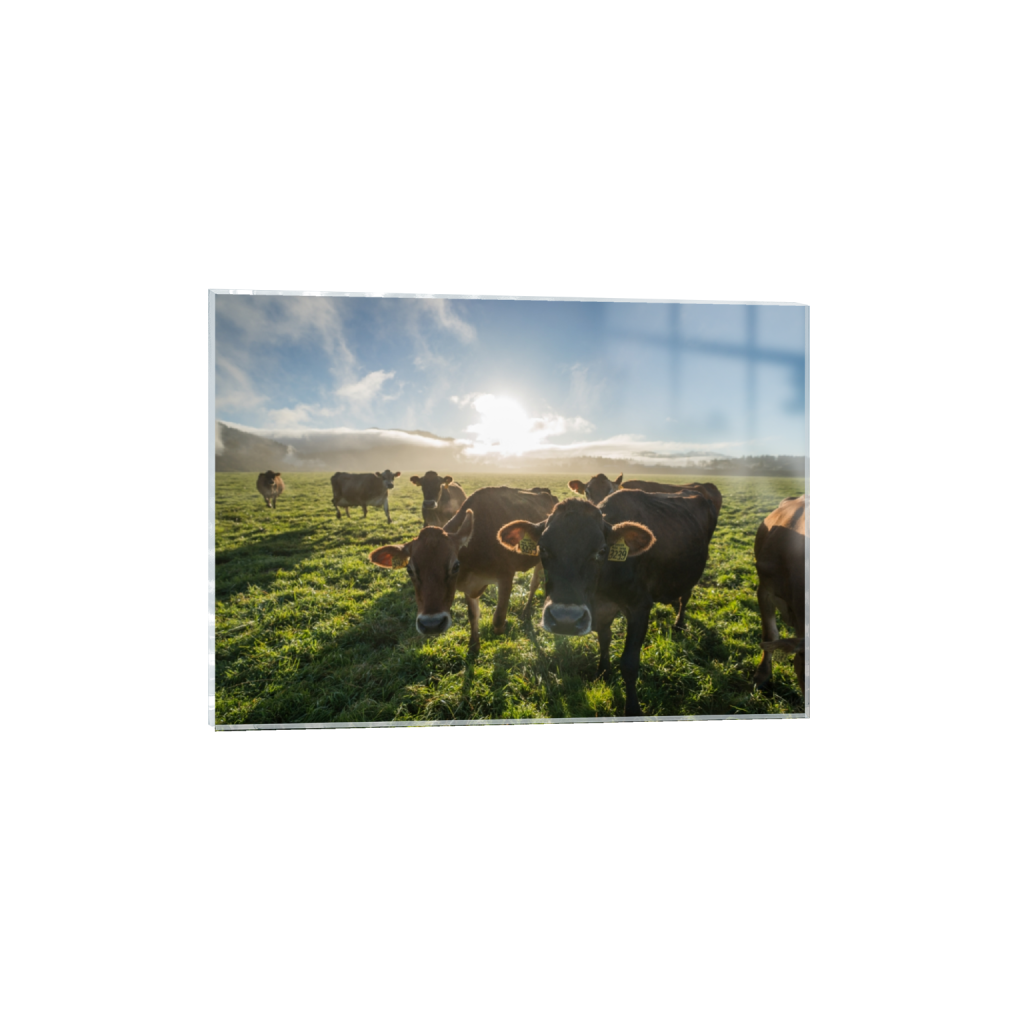 acrylicprint_rectangle5_7_129_0_3613_2581_0.png