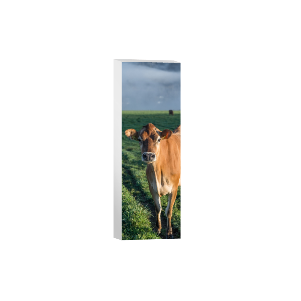 canvas_rectangle1_3_329_0_1290_3872_0.png