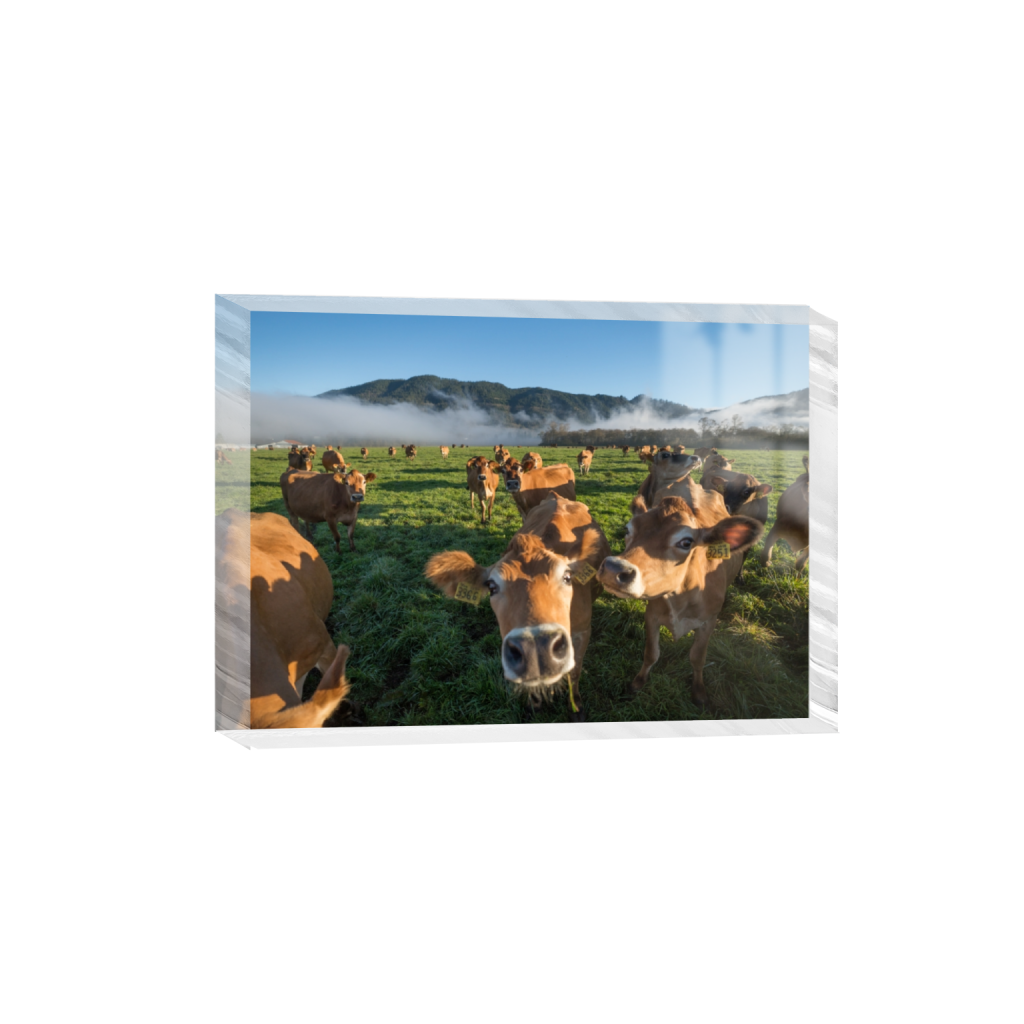 acrylicdesktopprint_rectangle5_7_129_0_3613_2581_0.png
