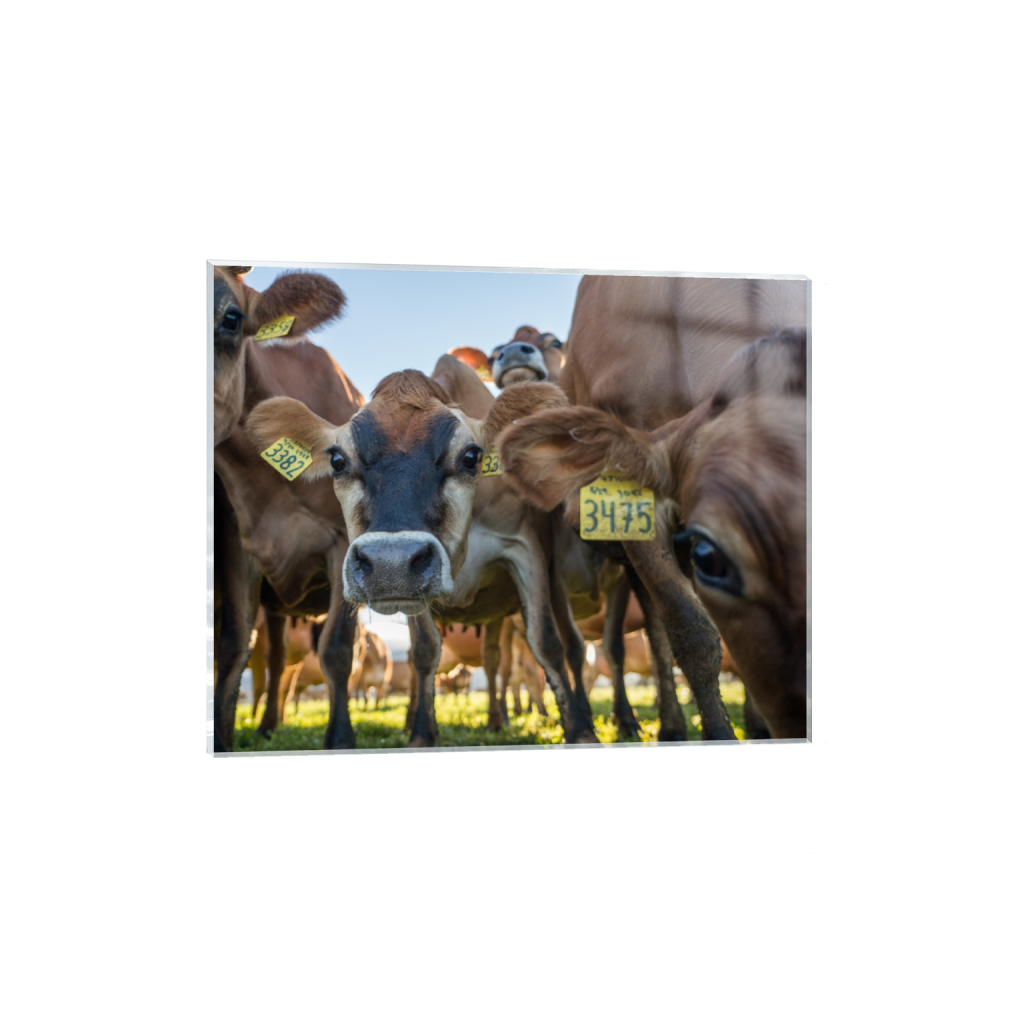 acrylicprint_rectangle4_5_658_0_3226_2581_0.png