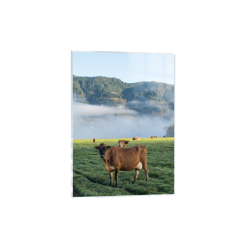 acrylicprint_rectangle5_7_0_126_2581_3613_0.png