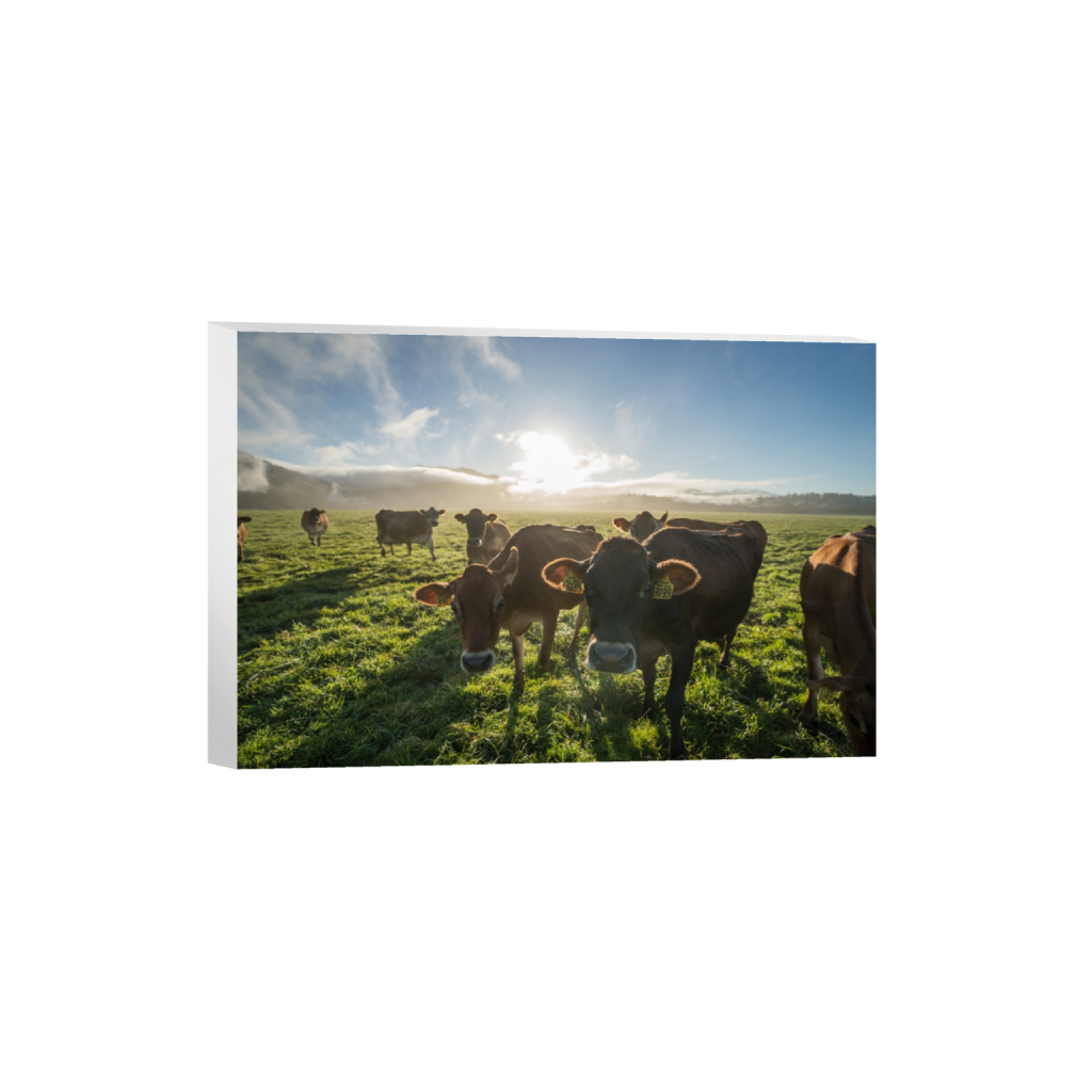 canvas_rectangle2_3_0_0_3871_2581_0.png