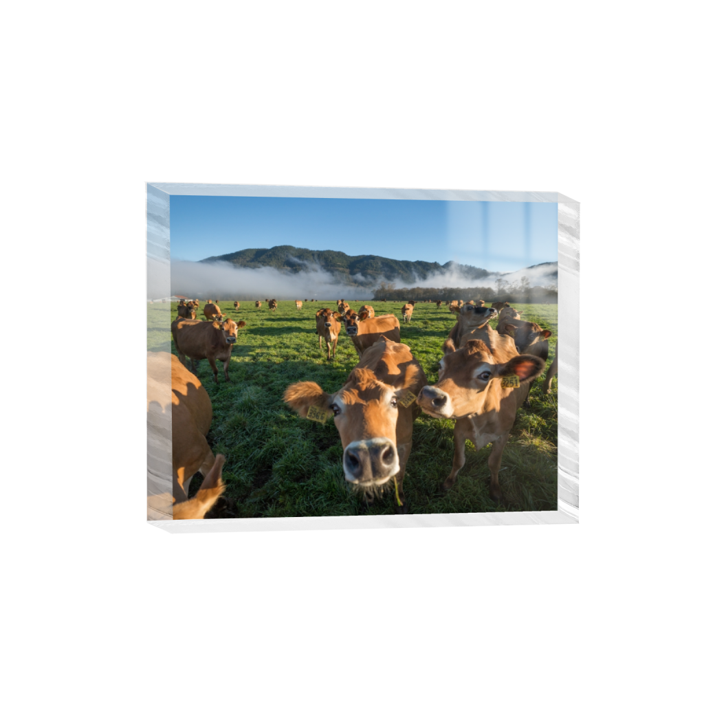 acrylicdesktopprint_rectangle4_5_322_0_3226_2581_0.png