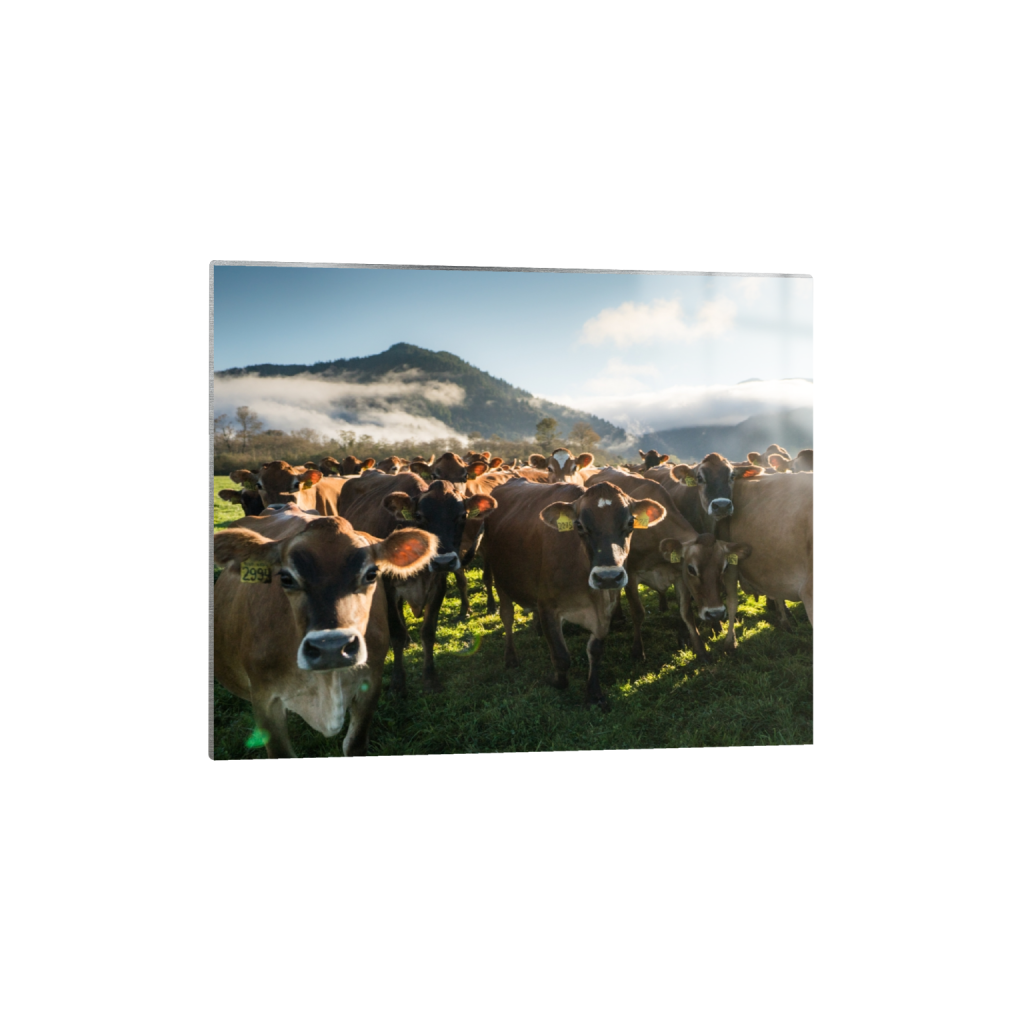 metalprint_rectangle4_5_0_0_2965_2372_0.png