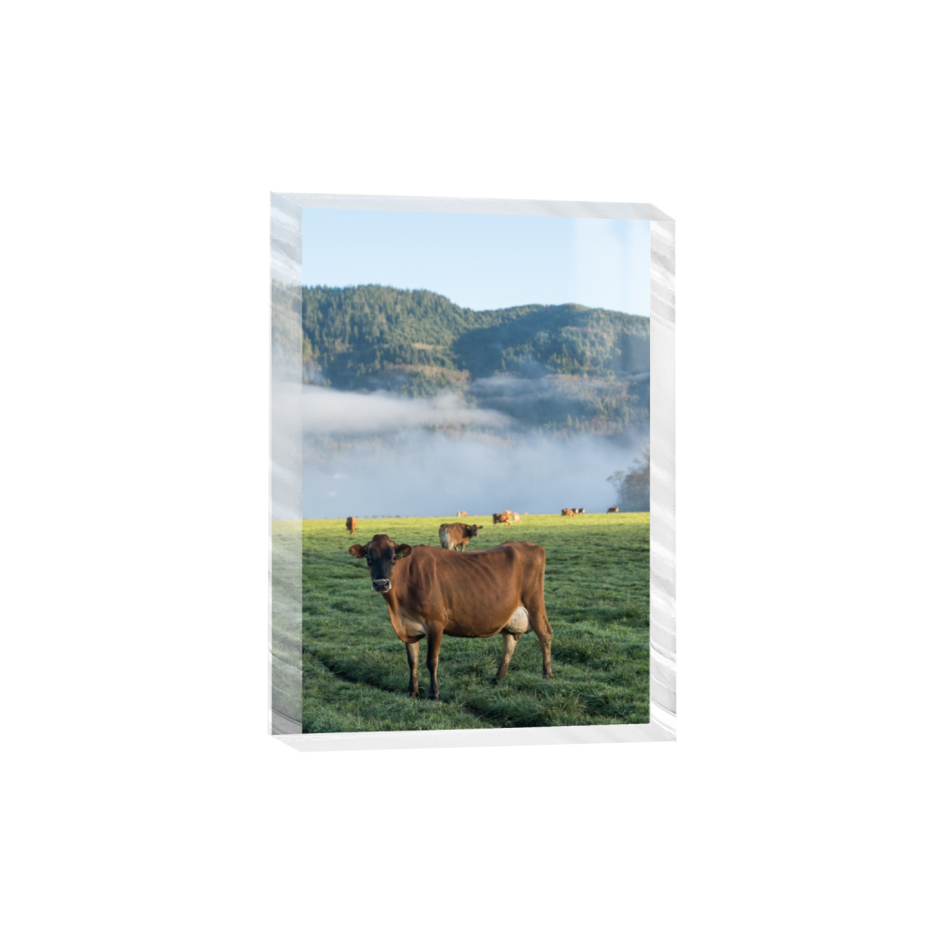 acrylicdesktopprint_rectangle5_7_0_126_2581_3613_0.png