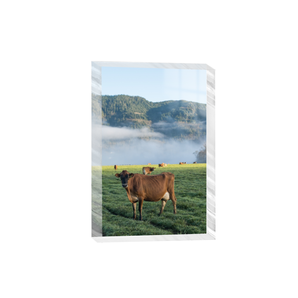 acrylicdesktopprint_rectangle2_3_0_0_2581_3871_0.png