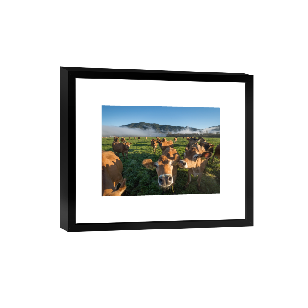 smartframe_rectangle3_4_215_0_3441_2581_0.png