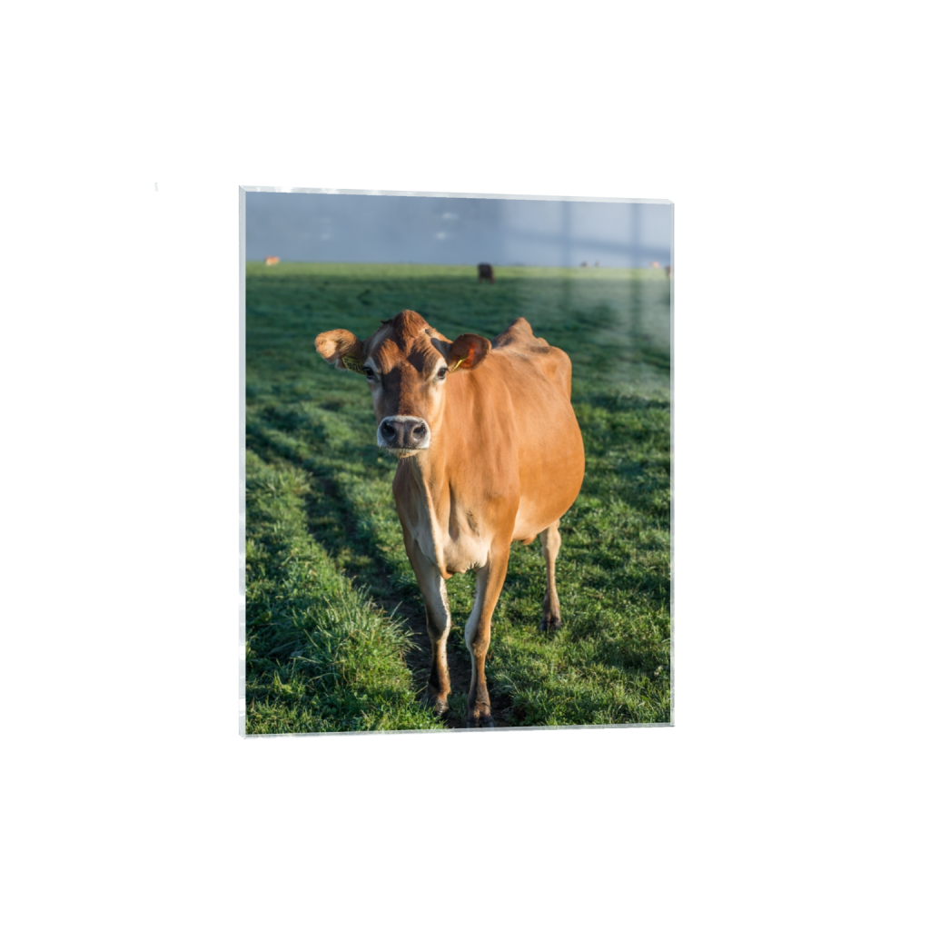 acrylicprint_rectangle4_5_0_646_2581_3226_0.png