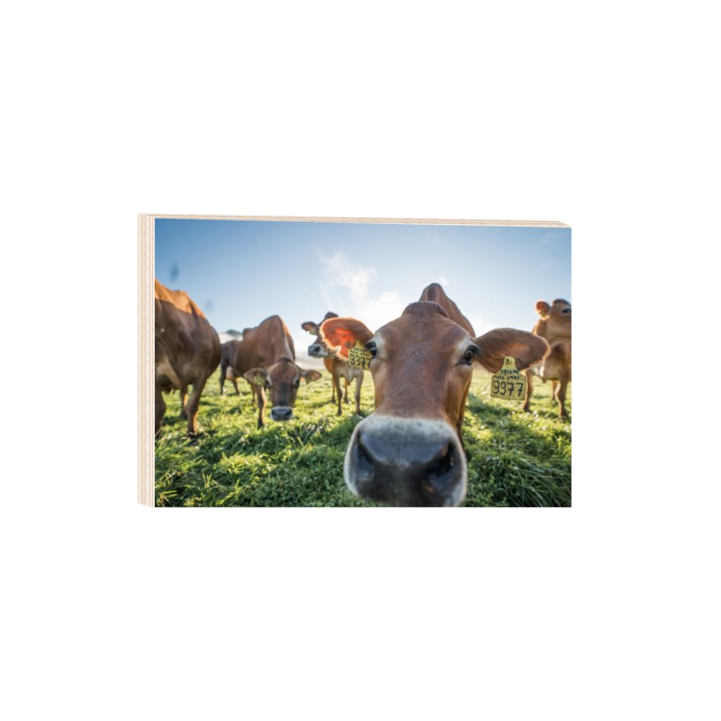 woodprint_rectangle2_3_0_0_3871_2581_0.png
