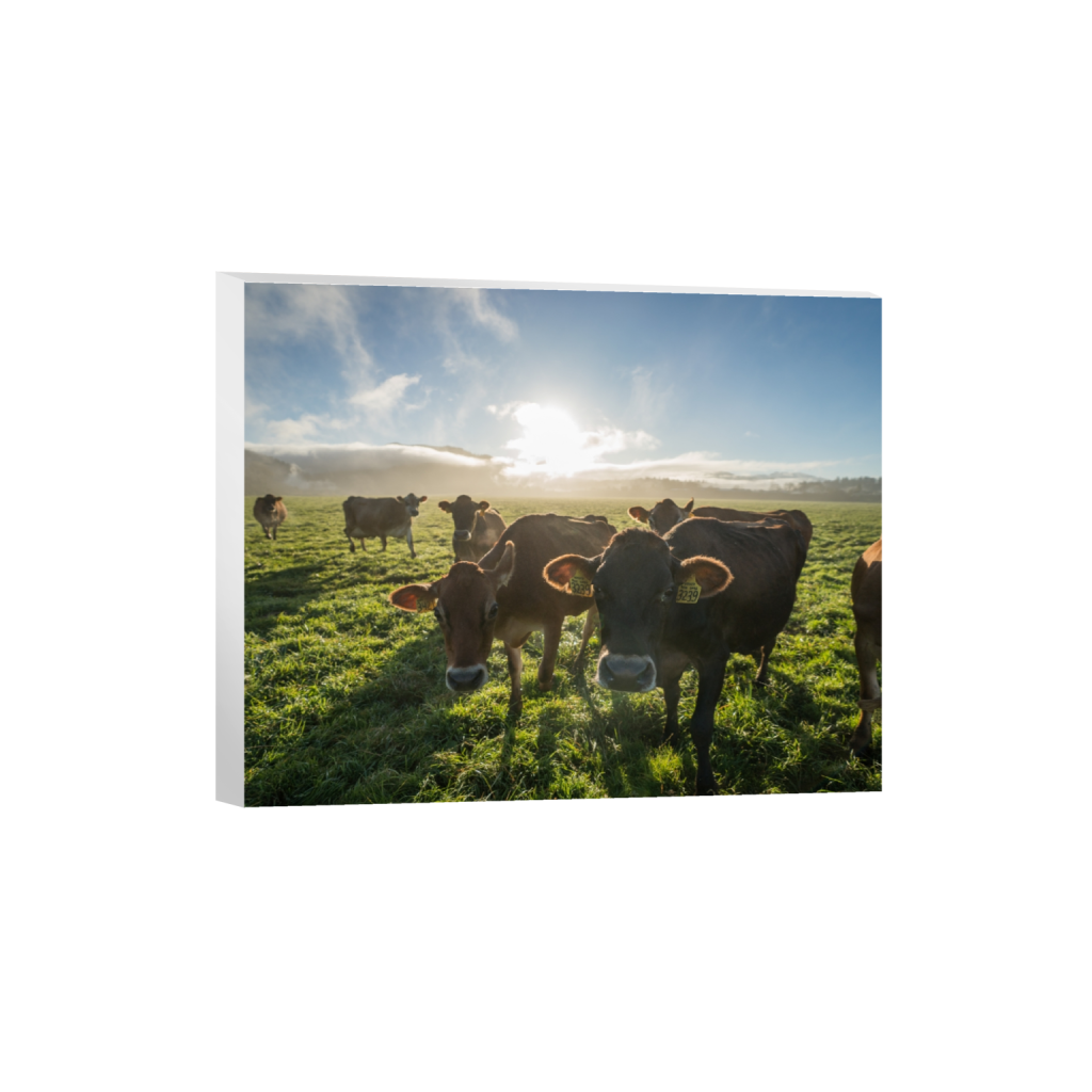 canvas_rectangle4_5_322_0_3226_2581_0.png