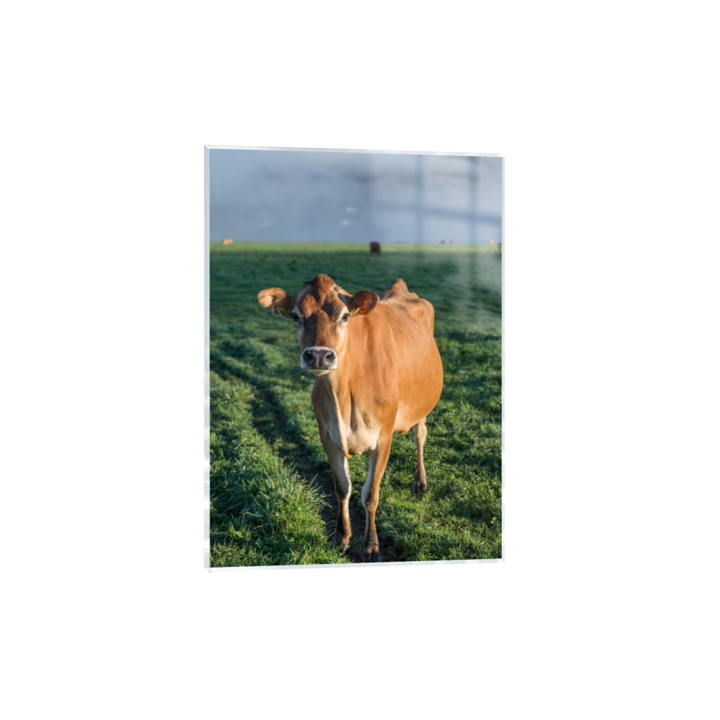 acrylicprint_rectangle5_7_0_258_2581_3613_0.png