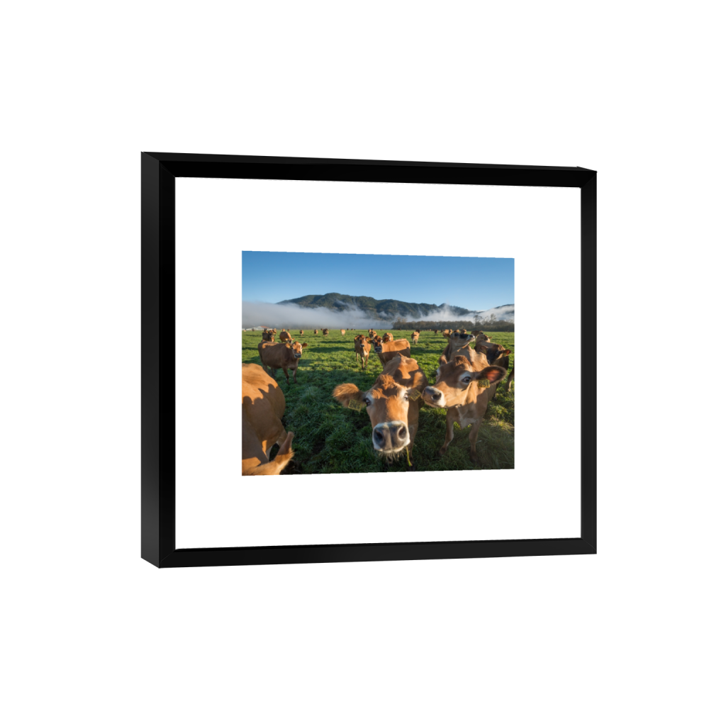 smartframe_rectangle4_5_322_0_3226_2581_0.png