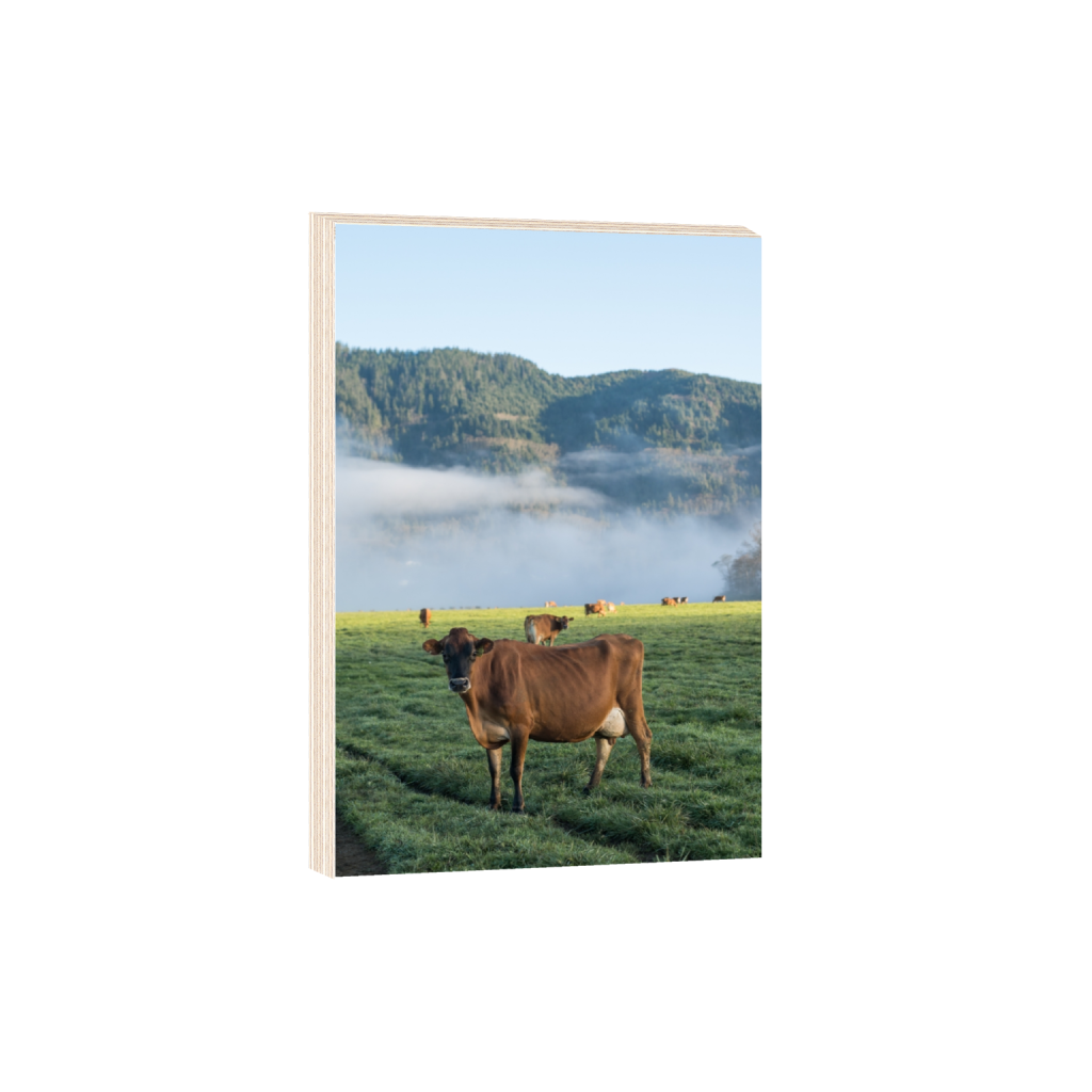 woodprint_rectangle2_3_0_0_2581_3871_0.png