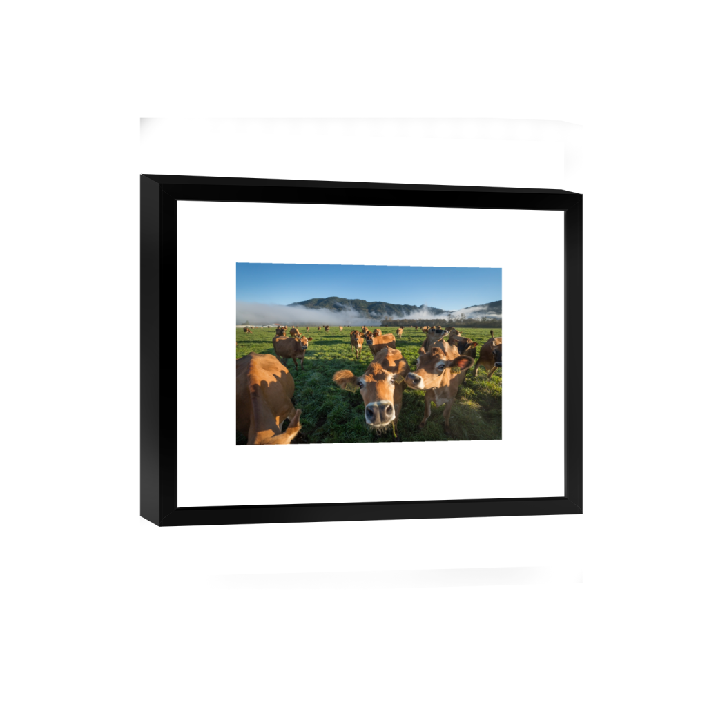 smartframe_rectangle2_3_0_0_3871_2581_0.png