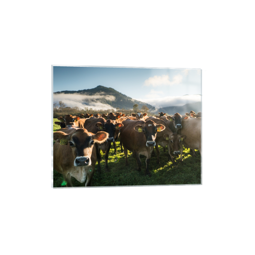 acrylicprint_rectangle4_5_0_0_2965_2372_0.png
