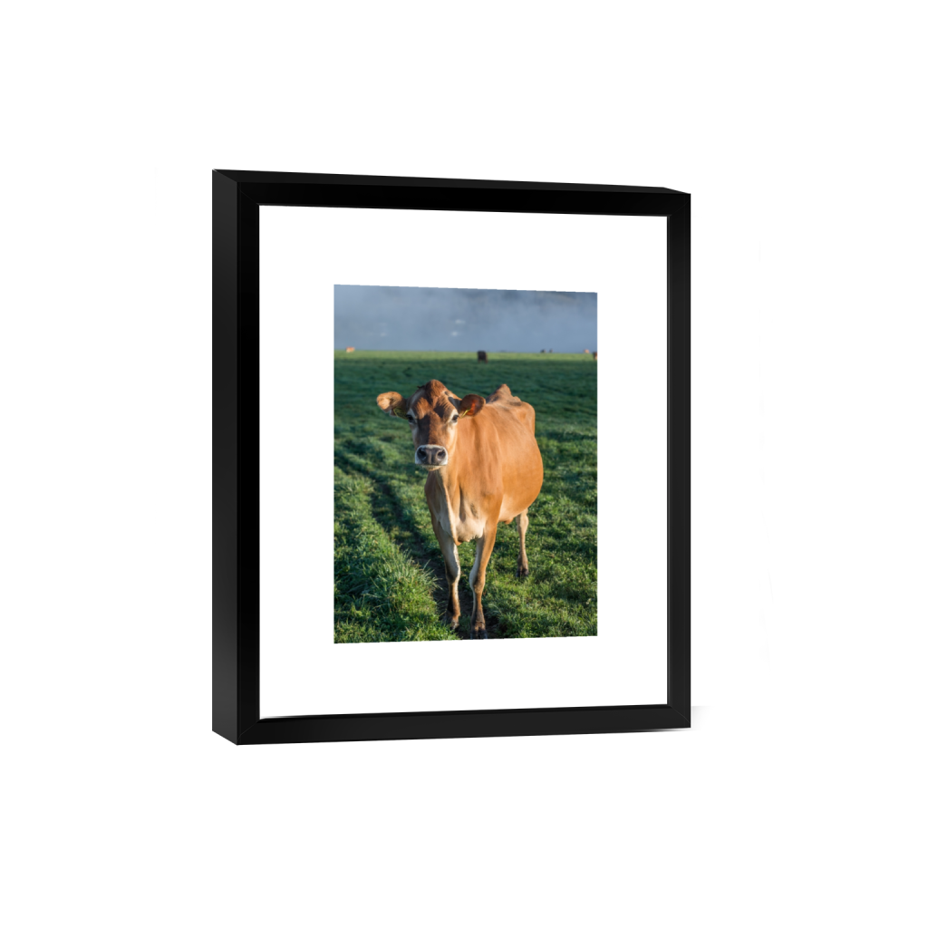 smartframe_rectangle3_4_0_431_2581_3441_0.png
