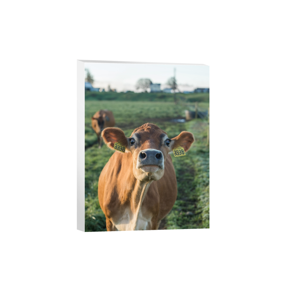canvas_rectangle3_4_0_215_2581_3441_0.png
