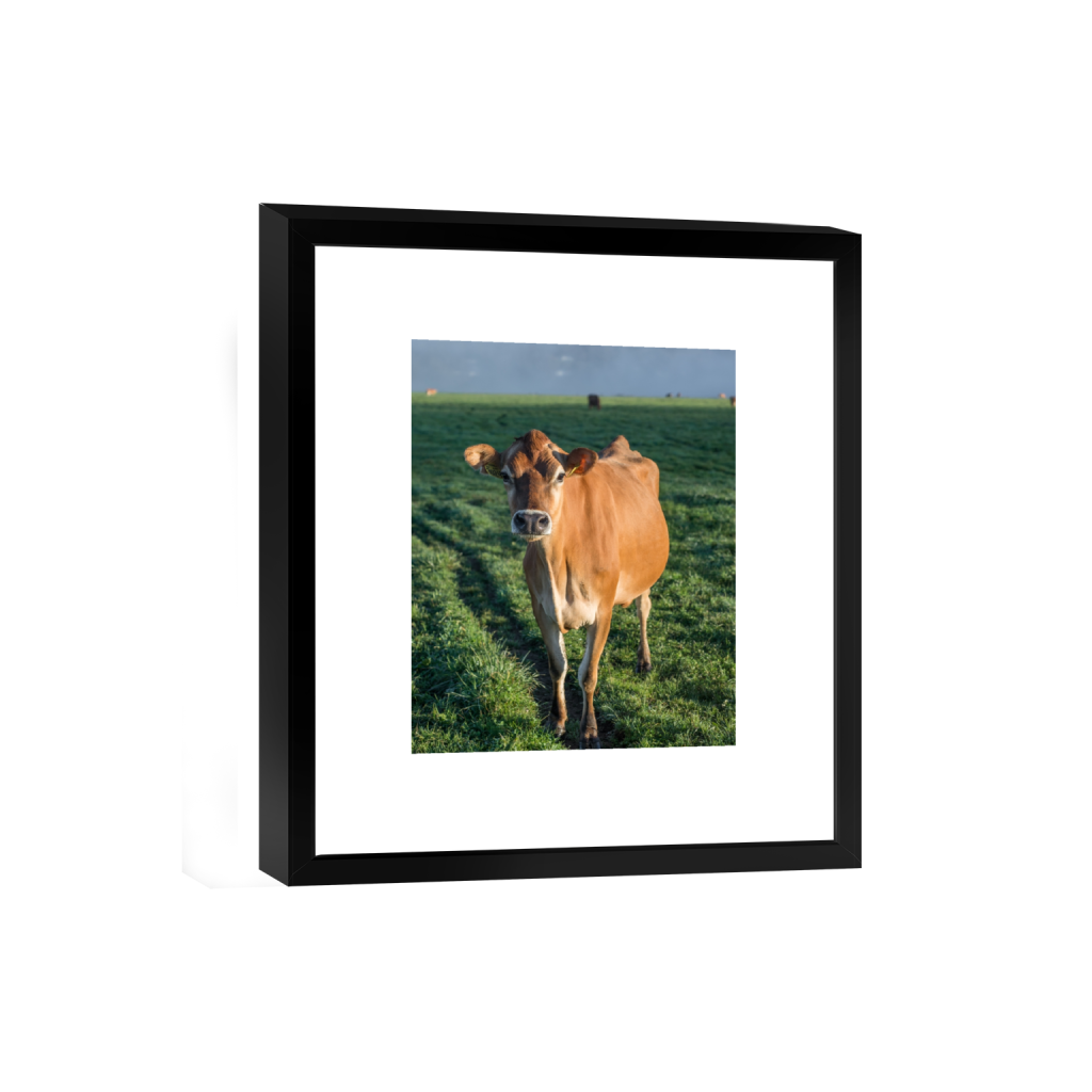 smartframe_rectangle4_5_0_646_2581_3226_0.png