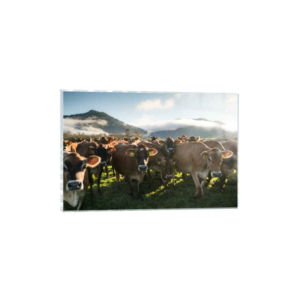acrylicprint_rectangle2_3_328_0_3558_2372_0.png