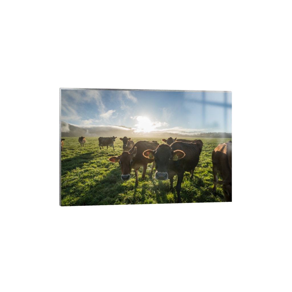 metalprint_rectangle2_3_0_0_3871_2581_0.png