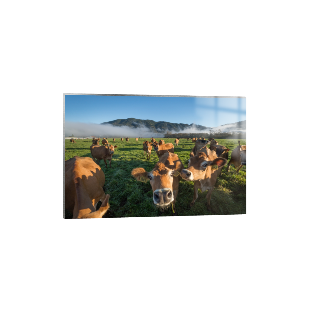 metalprint_rectangle2_3_0_0_3871_2581_0.png