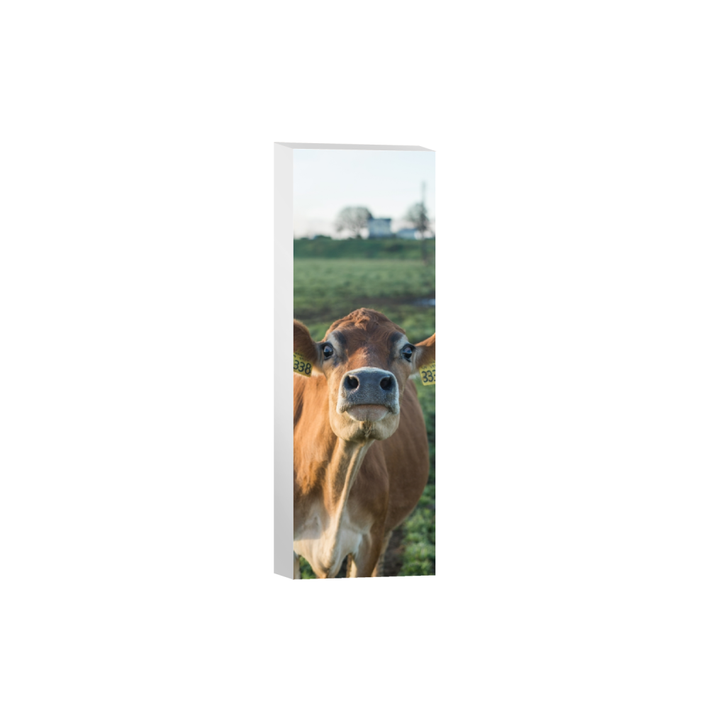 canvas_rectangle1_3_645_0_1290_3872_0.png