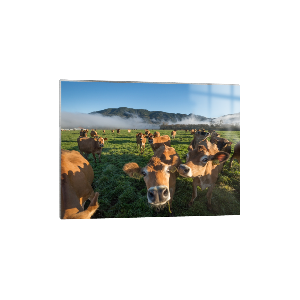 metalprint_rectangle3_4_215_0_3441_2581_0.png