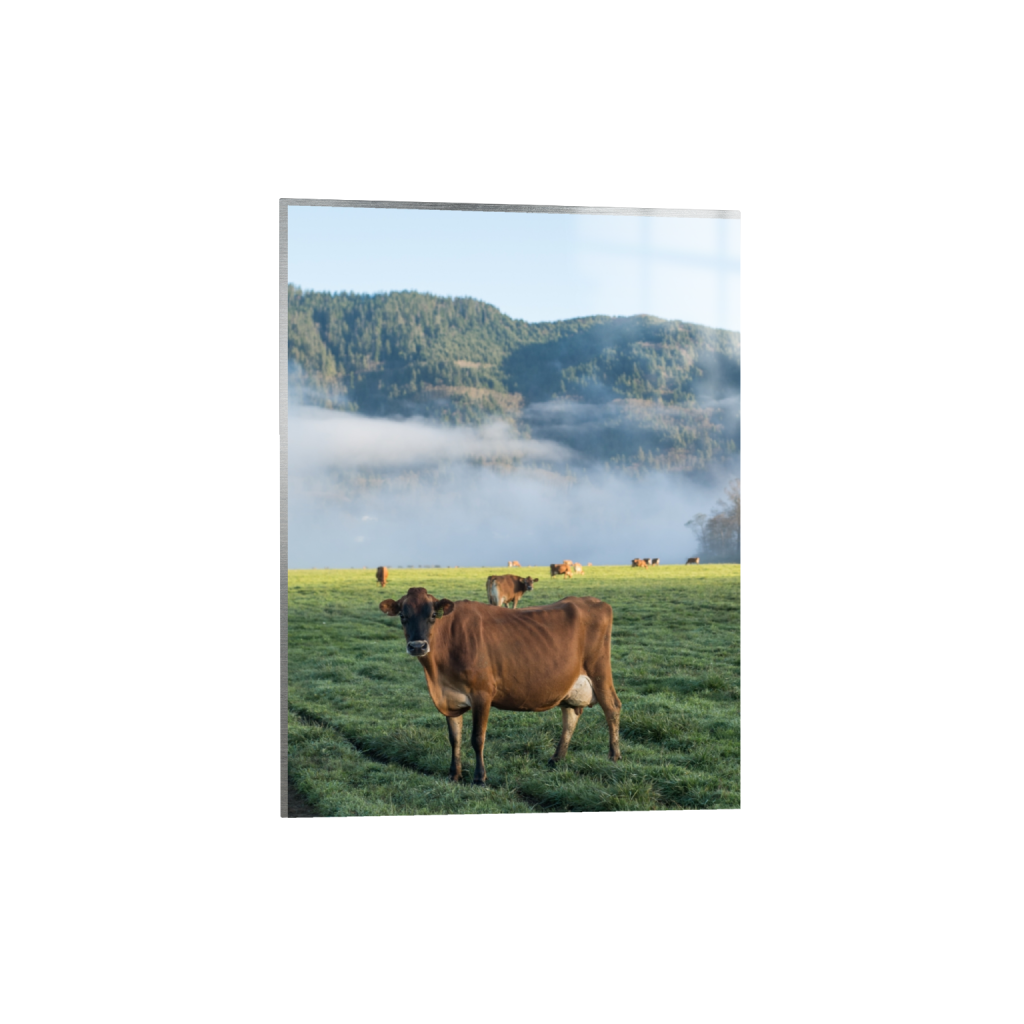 metalprint_rectangle3_4_0_258_2581_3441_0.png