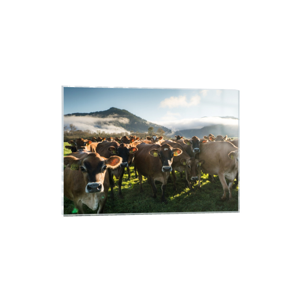 acrylicprint_rectangle5_7_0_0_3320_2372_0.png