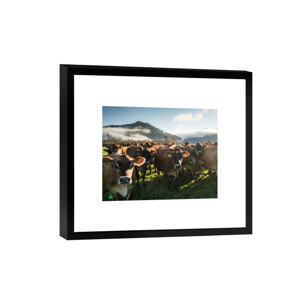 smartframe_rectangle4_5_0_0_2965_2372_0.png