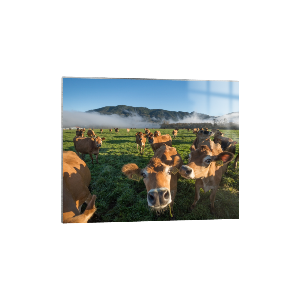 metalprint_rectangle4_5_322_0_3226_2581_0.png