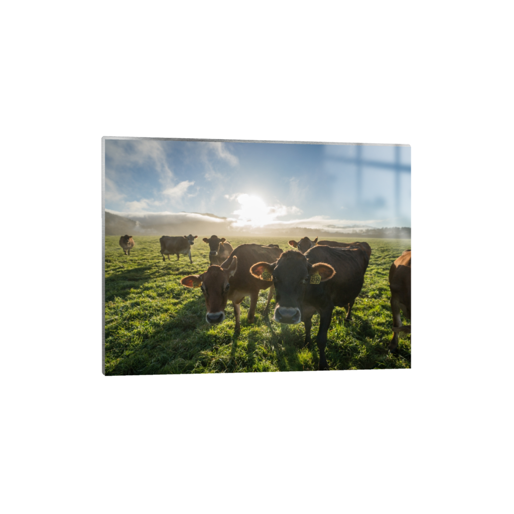 metalprint_rectangle3_4_215_0_3441_2581_0.png