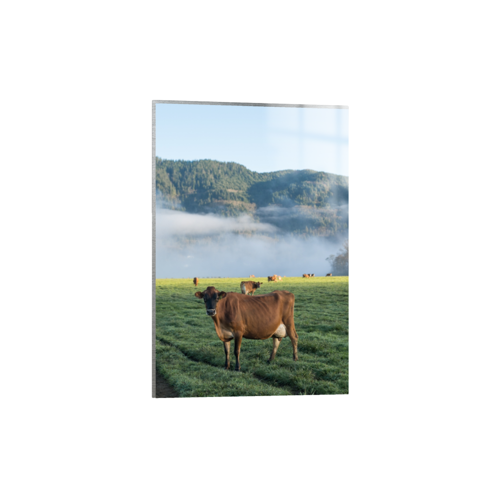 metalprint_rectangle2_3_0_0_2581_3871_0.png