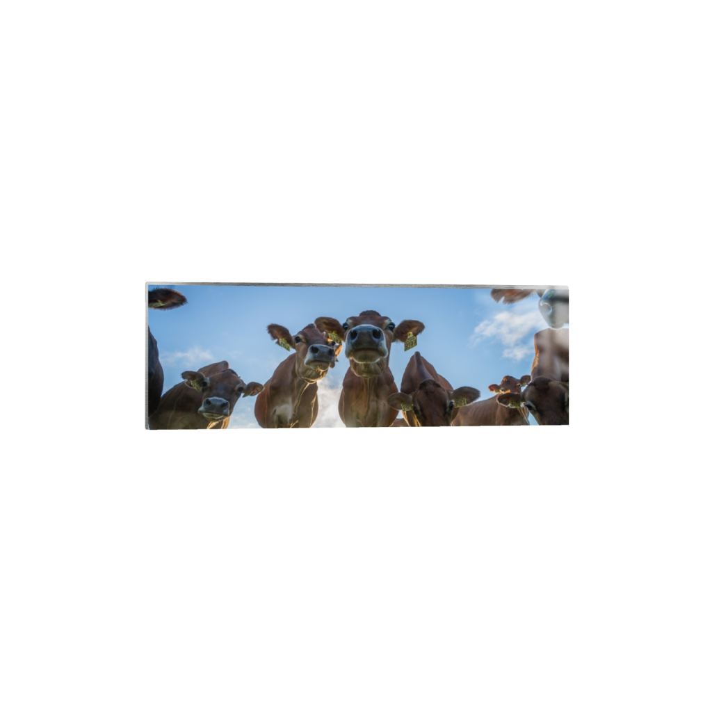 metalprint_rectangle1_3_0_252_4215_1405_0.png