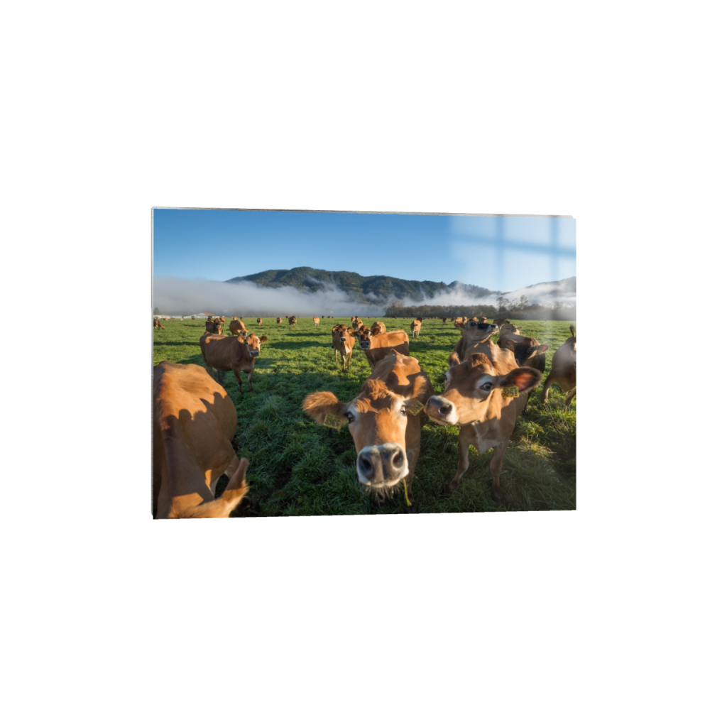 metalprint_rectangle5_7_129_0_3613_2581_0.png