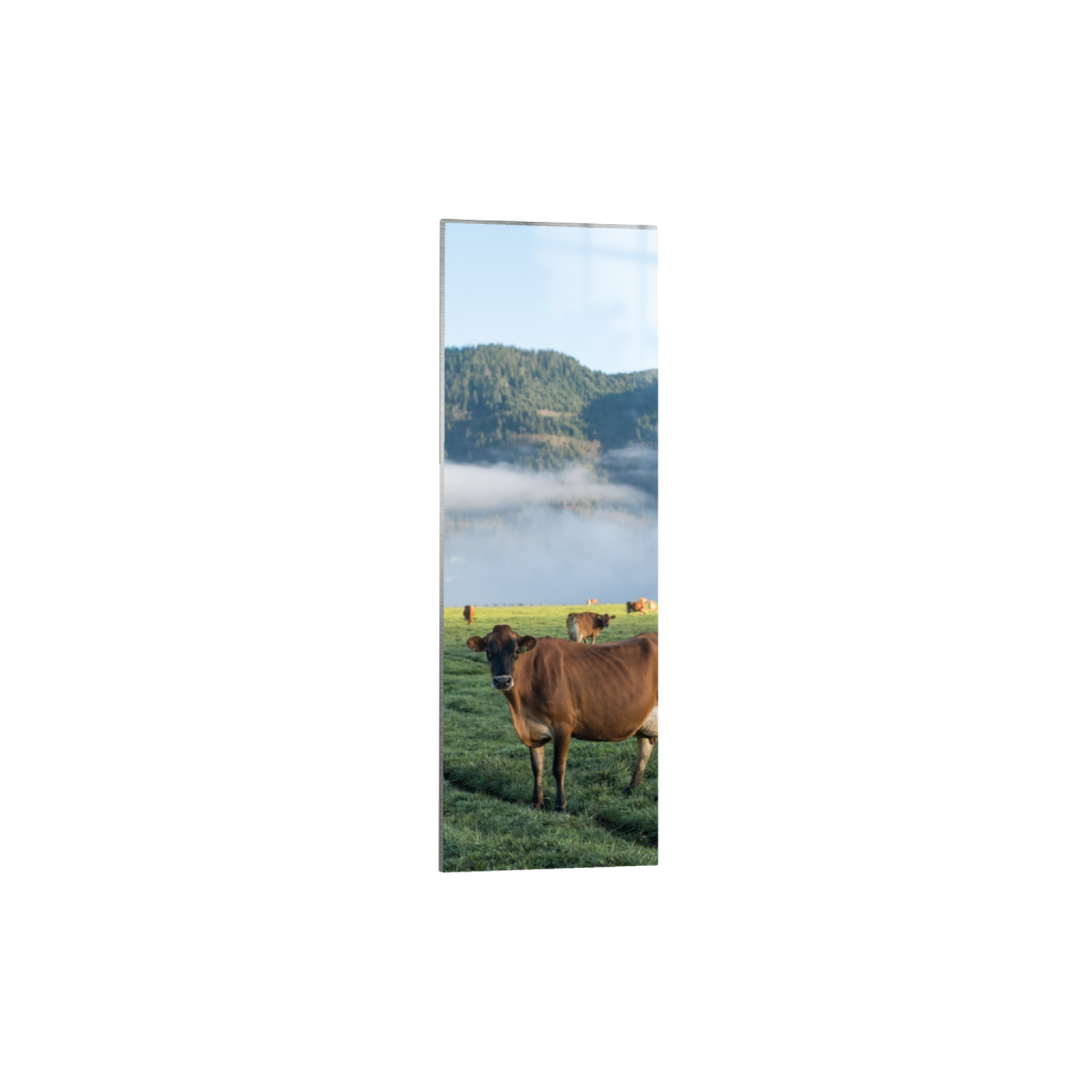 metalprint_rectangle1_3_367_0_1290_3872_0.png