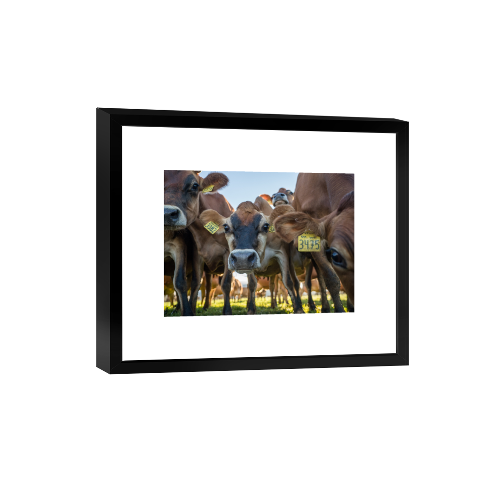 smartframe_rectangle3_4_215_0_3441_2581_0.png