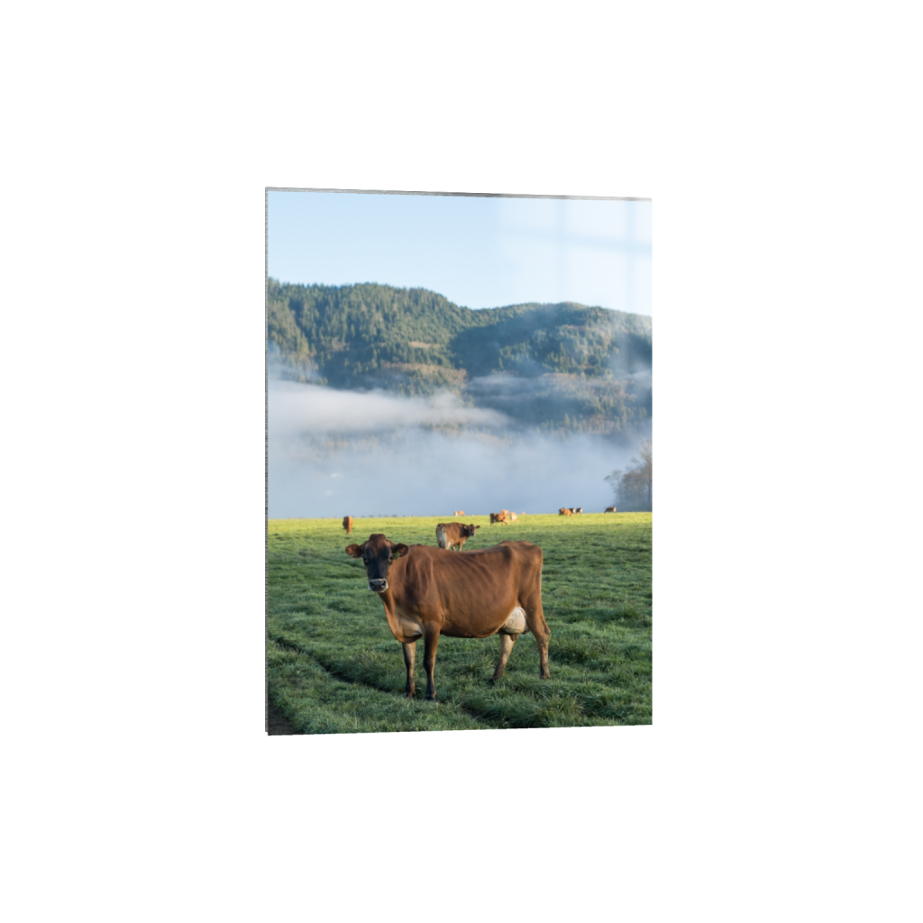 metalprint_rectangle5_7_0_126_2581_3613_0.png