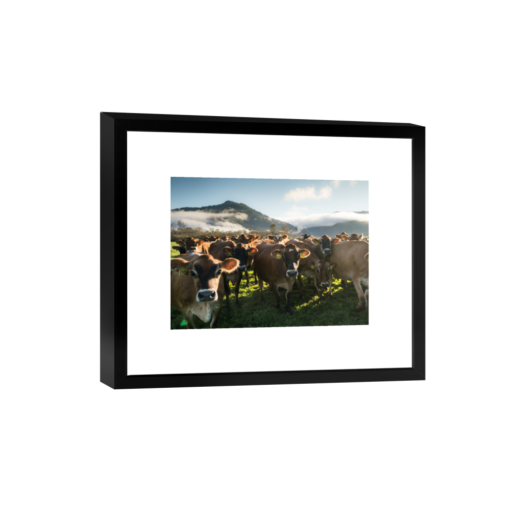 smartframe_rectangle3_4_0_0_3162_2372_0.png